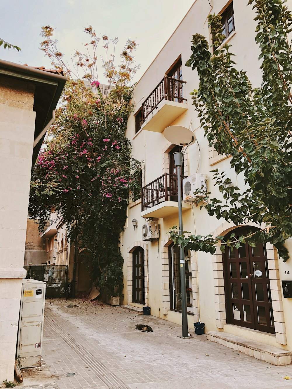 A quiet street in Limassol old town with balconies and climbing flowers
